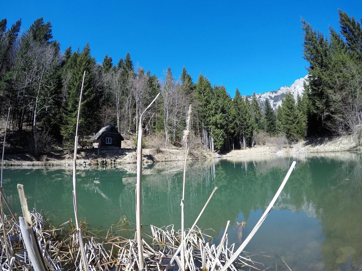 Karami Mountainhouse Bed & Breakfast Tržič Bagian luar foto